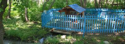 Поездка на родник