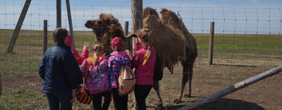 Поездка в степь